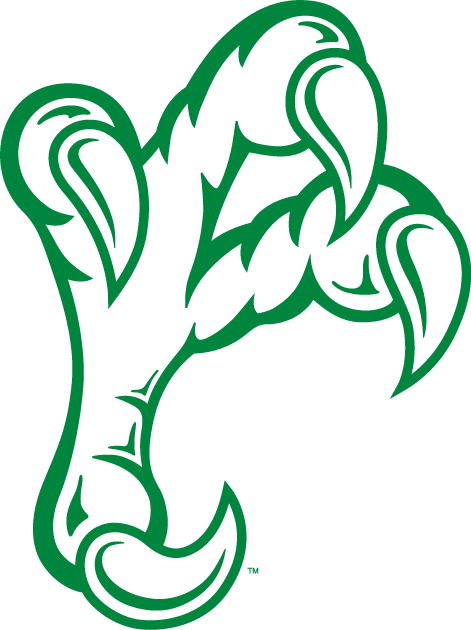 North Texas Mean Green 2005-Pres Alternate Logo diy fabric transfer